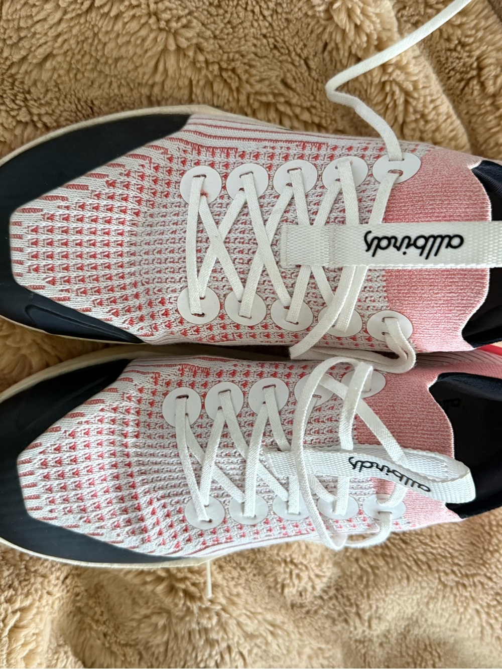 Allbirds Tree Flyer 2 sneakers